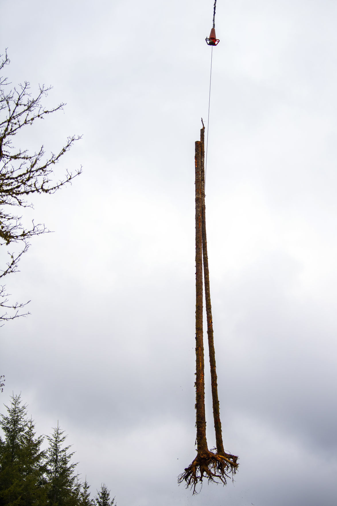Double-log lift
